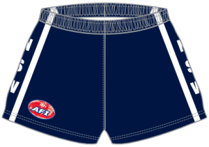 AFI NSW footy shorts front