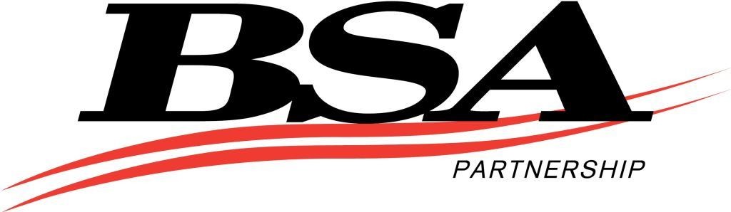 BSA logo Team Poland