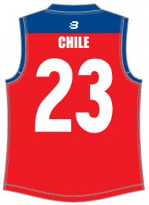 Chile jumper back