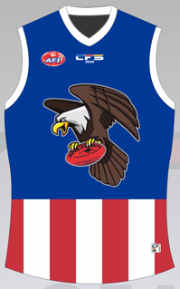 USA footy jumper front